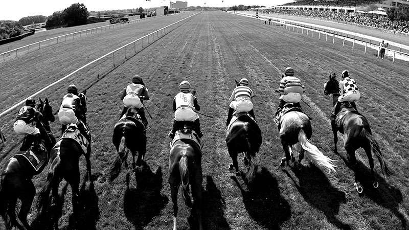 performances passées chevaux
